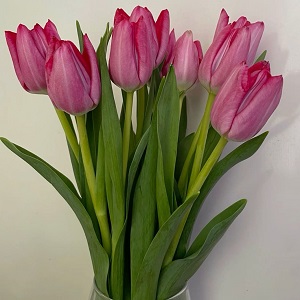 Мероприятие, посвященное Международному женскому дню,  8 марта 2026 года